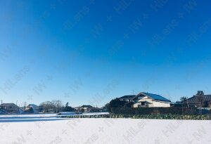 雪原の清々しい朝