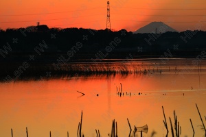 富士が浮かぶ茜の夕景