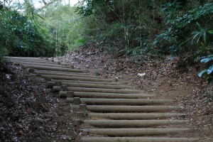 里山ステップ