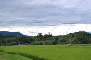 地方の田園風景に吹き抜ける癒しの風