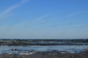 天空のバックグラウンド34