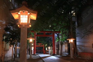 鳥居と灯篭、仕事帰りの夜詣