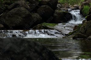 渓流のバックグラウンド