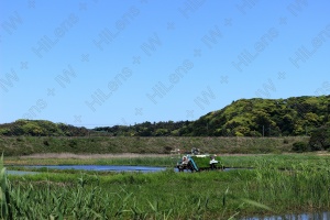 田植えが行われている5月の風景