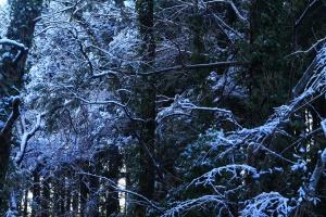 雪山散策