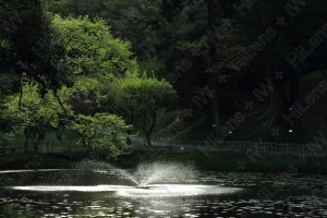 噴水の水音だけが聴こえる静かな緑地