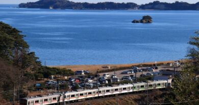 [宮城県]JR仙石線205系電車:RSJP0004