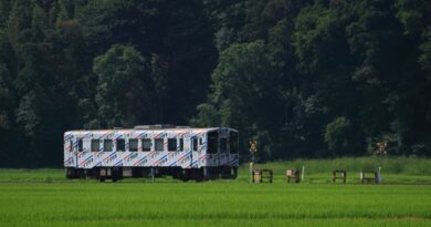 [茨城県]ひたちなか海浜鉄道キハ11気動車:RSJP0008