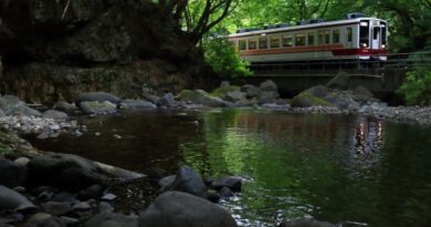 [栃木県]野岩鉄道6050系電車:RSJP0009