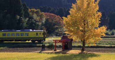 [千葉県]いすみ鉄道350形気動車:RSJP0012