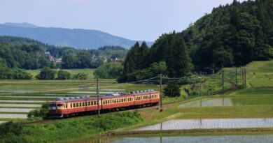 [新潟県]えちごトキめき鉄道455系電車:RSJP0015