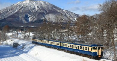 [長野県]しなの鉄道115系電車:RSJP0020