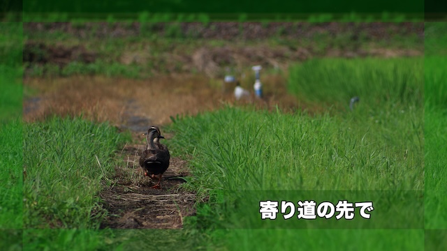 [Story006]寄り道の先で