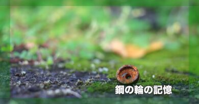 [Story008]鋼の輪の記憶