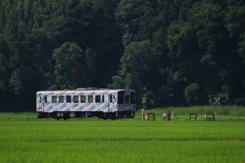 ひたちなか海浜鉄道11形気動車