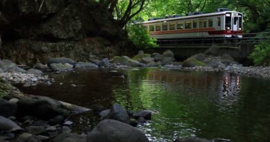 野岩鉄道6050系電車