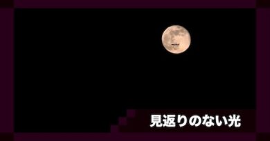 見返りのない光