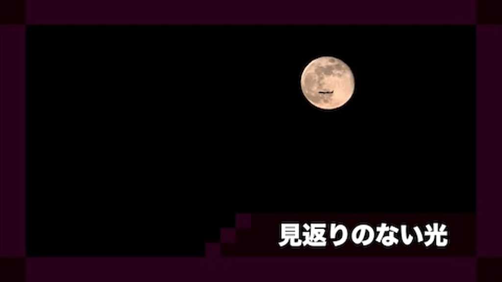 見返りのない光