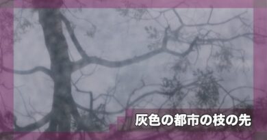 灰色の都市の枝の先