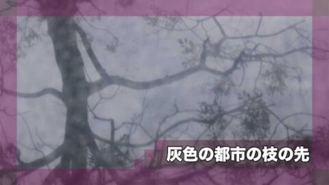 灰色の都市の枝の先
