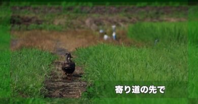 寄り道の先で