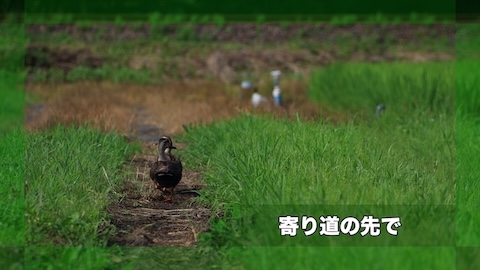 寄り道の先で