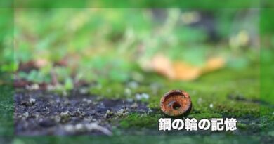 鋼の輪の記憶