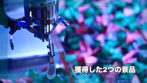 獲得した2つの景品