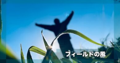 フィールドの風
