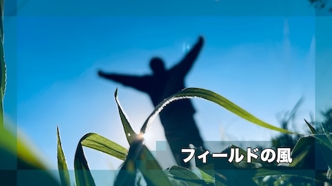 フィールドの風