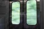 緑の車窓が流れる列車旅