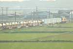 田園を駆けるコンテナ貨物列車