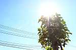 太陽光のエネルギーが降り注ぐ