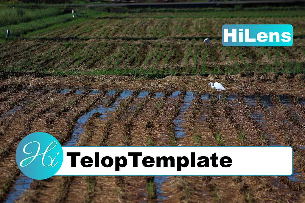 TelopTemplate