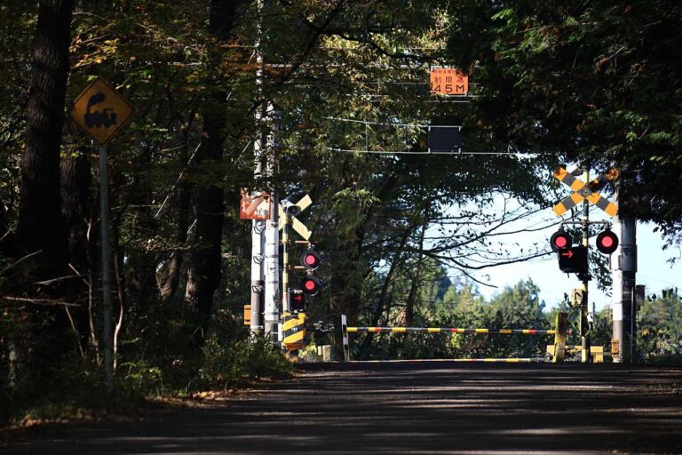 木漏れ日踏切の写真素材