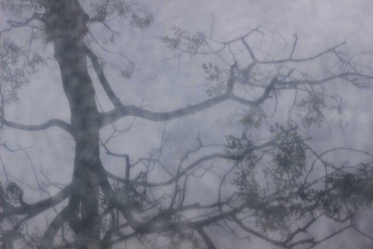 大理石の投影の写真素材