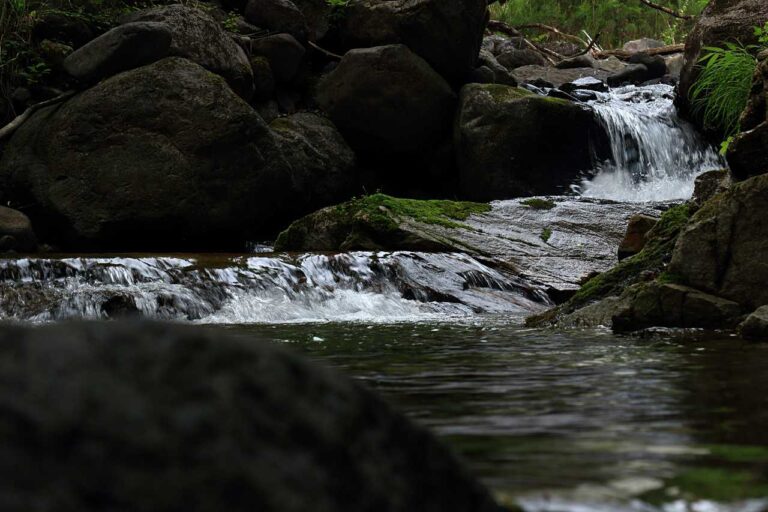 渓流の写真素材