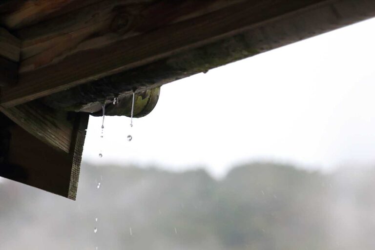 雨宿りの写真素材