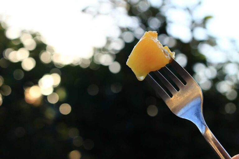 カットパインで朝食の写真素材