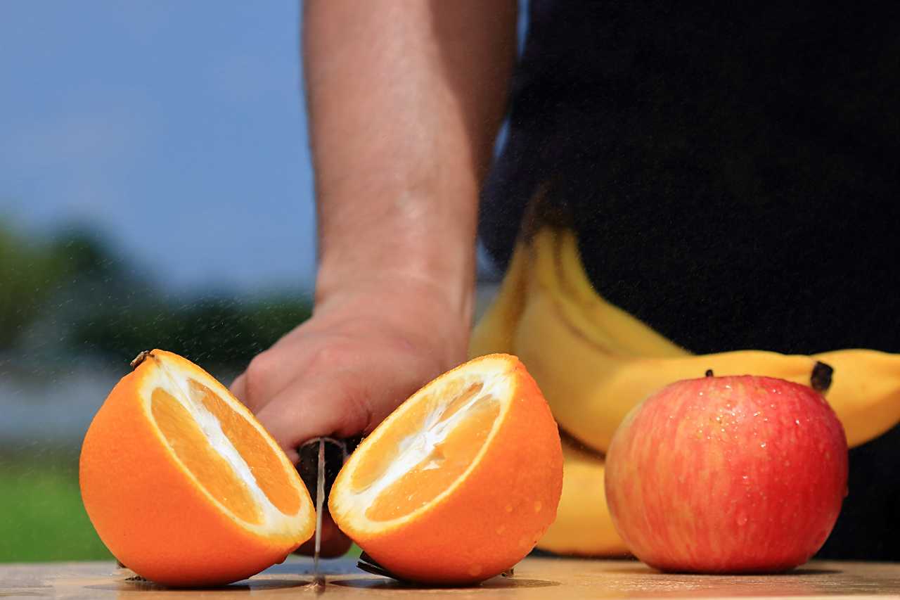 フルーツキャンプの写真素材