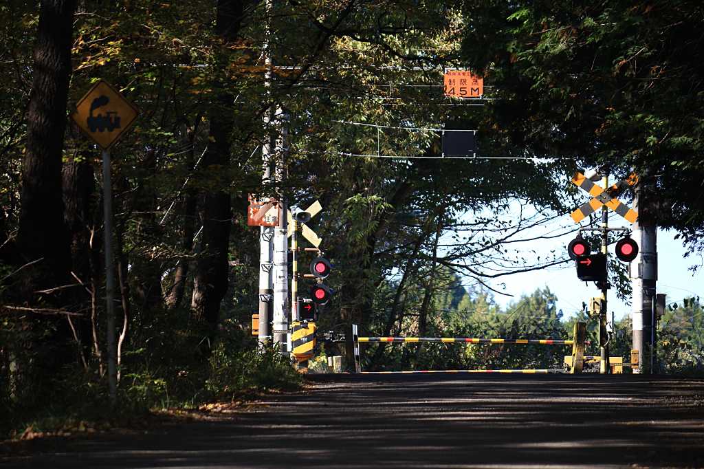 木漏れ日踏切の写真素材