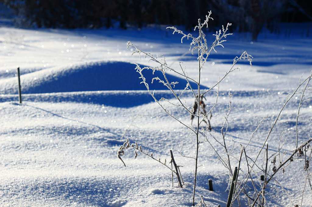 白銀の煌めきの写真素材