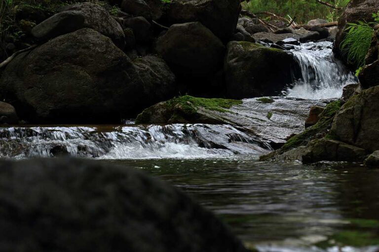 渓流の写真素材