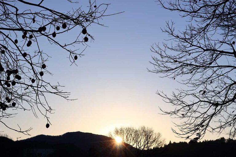 日の出の写真素材