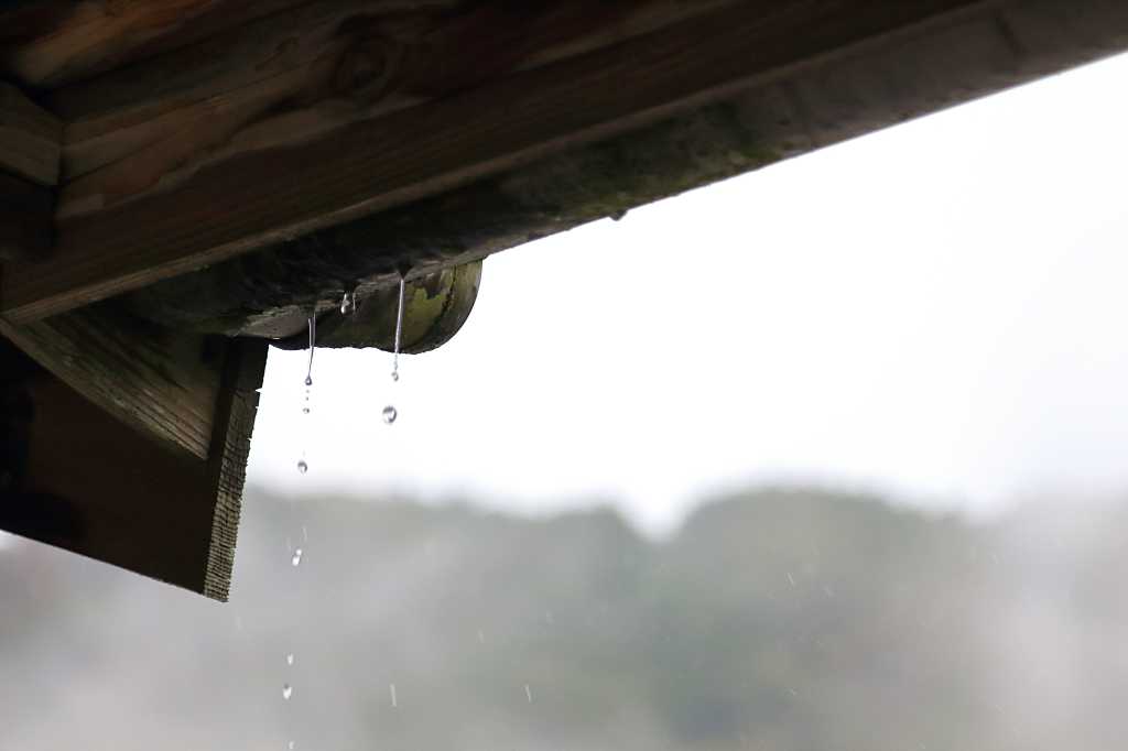 雨宿りの写真素材