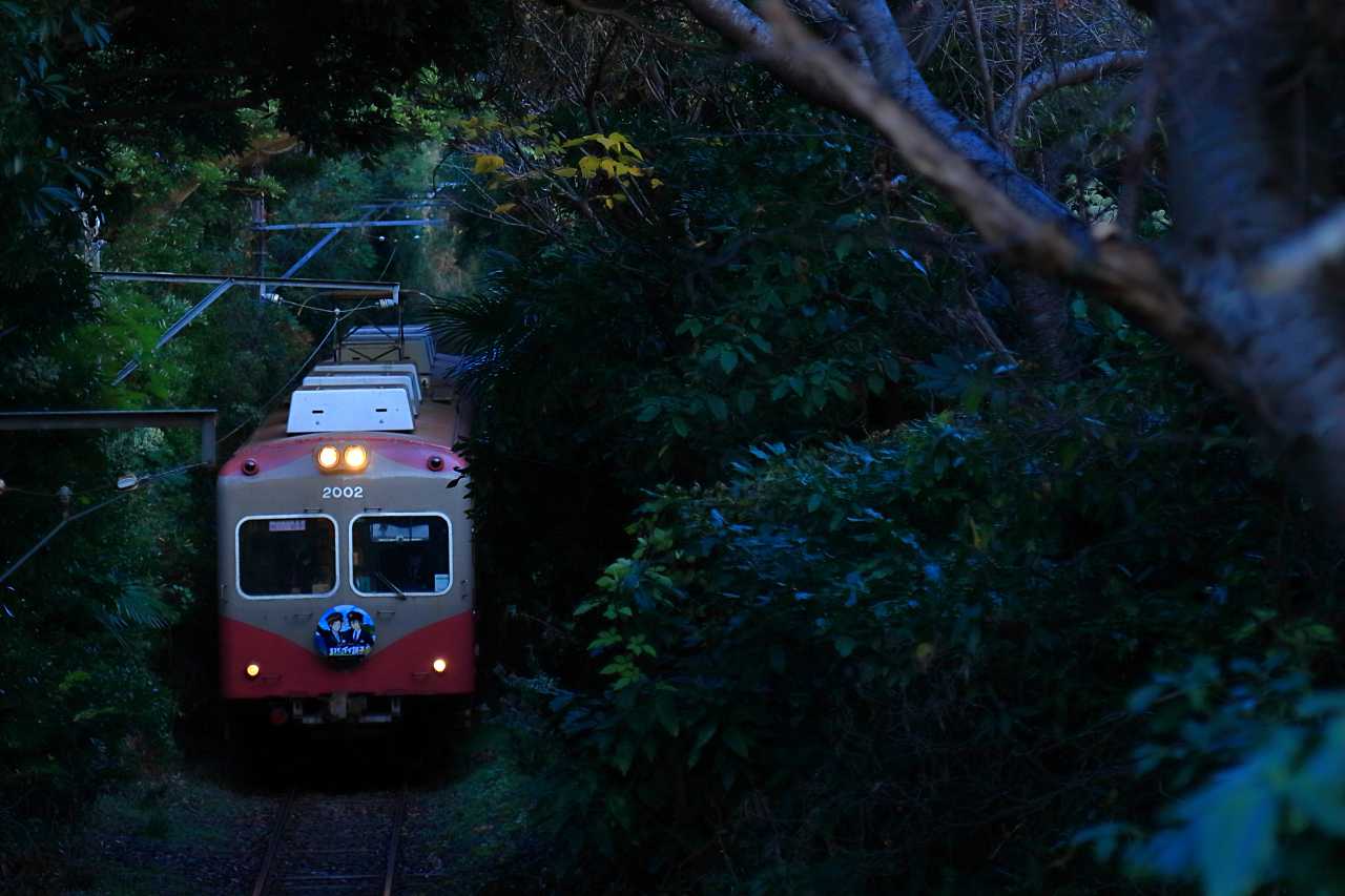 絶対に諦めない2002号の写真素材