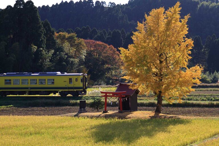 いすみ鉄道の秋旅の写真素材