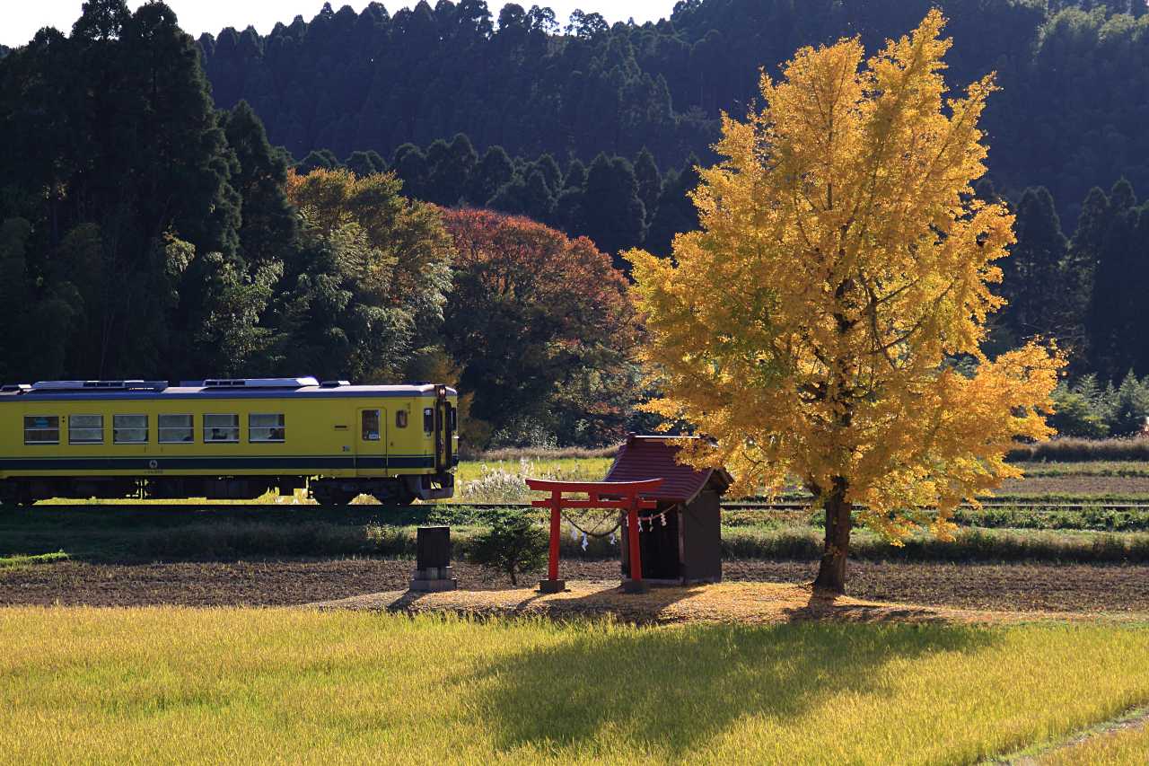 いすみ鉄道の秋旅の写真素材