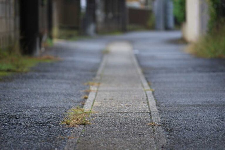 子供目線ローアングルの写真素材