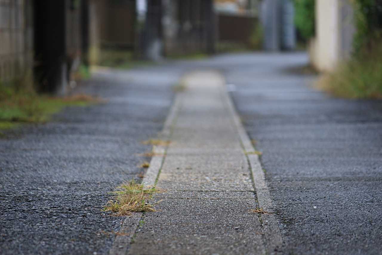 子供目線ローアングルの写真素材